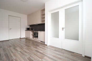 Pronájem bytu 1+1 v osobním vlastnictví 40 m², Praha 4 - Nusle