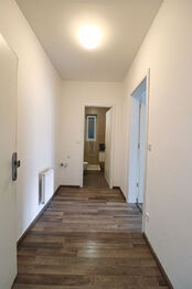 Pronájem bytu 1+1 v osobním vlastnictví 40 m², Praha 4 - Nusle