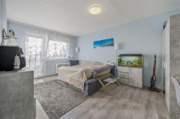 Prodej bytu 2+1 v osobním vlastnictví 53 m², Veselí nad Lužnicí