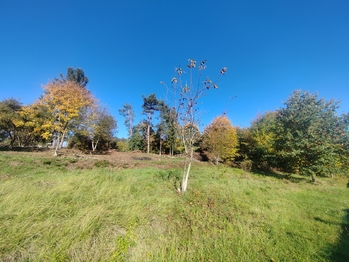 V strana - Prodej pozemku 3646 m², Ostrava