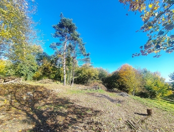 SV strana - Prodej pozemku 3646 m², Ostrava