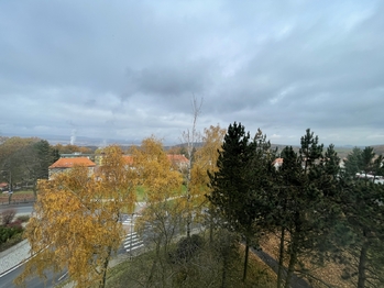 Prodej bytu 3+1 v osobním vlastnictví 68 m², Sokolov