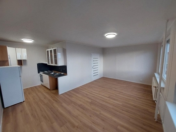 Prodej bytu 1+kk v družstevním vlastnictví 33 m², Most