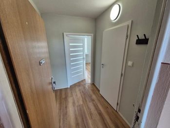 Prodej bytu 1+kk v družstevním vlastnictví 33 m², Most
