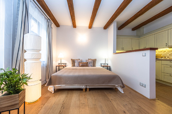 Pronájem bytu 1+kk v osobním vlastnictví 33 m², Praha 7 - Troja