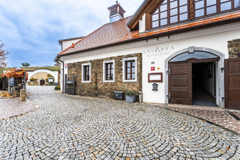 Pronájem bytu 1+kk v osobním vlastnictví 33 m², Praha 7 - Troja