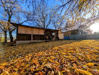 zateplené obydlí ... - Prodej pozemku 582 m², Kochánov