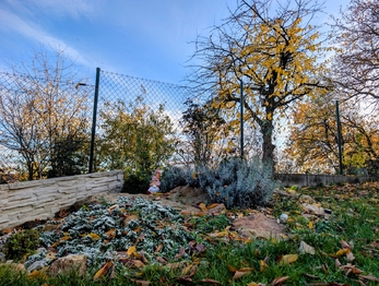 zahrada ... - Prodej pozemku 582 m², Kochánov