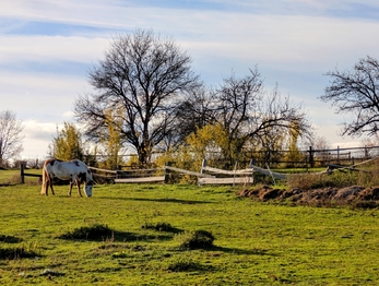 sousedství ... - Prodej pozemku 582 m², Kochánov