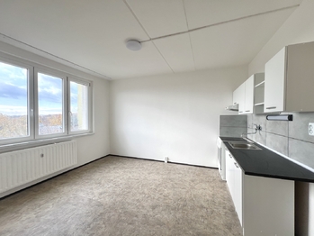 Prodej bytu 1+1 v osobním vlastnictví 34 m², Chomutov