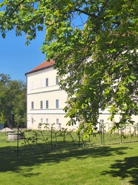 Prodej chaty / chalupy 341 m², Nové Syrovice