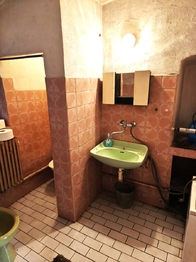 Prodej chaty / chalupy 341 m², Nové Syrovice