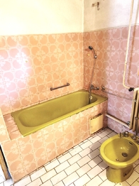 Prodej chaty / chalupy 341 m², Nové Syrovice