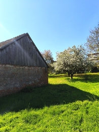 Prodej chaty / chalupy 341 m², Nové Syrovice