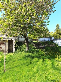 Prodej chaty / chalupy 341 m², Nové Syrovice