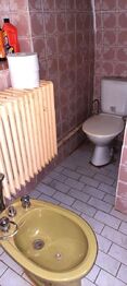 koupelna s WC - Prodej chaty / chalupy 341 m², Nové Syrovice