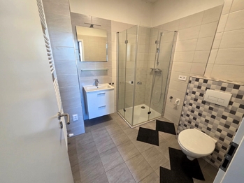 Prodej nájemního domu 226 m², Slavkov u Brna