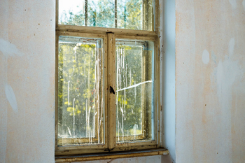 Prodej historického objektu 420 m², Velká Kraš