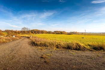 Prodej pozemku 1824 m², Hajany