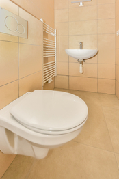 Koupelna v patře - Pronájem domu 130 m², Zruč-Senec