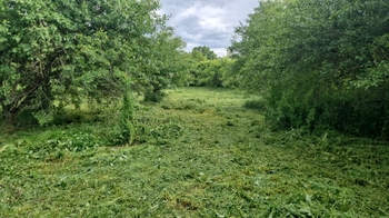 Prodej pozemku 6985 m², Lipník nad Bečvou