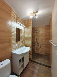 Čp. 1 - koupelna s WC - Prodej zemědělského objektu 251 m², Staré Sedlo