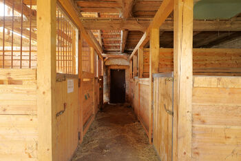 Čp. 1 - boxy pro koně - Prodej zemědělského objektu 251 m², Staré Sedlo