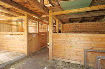 Čp. 1 - boxy pro koně - Prodej zemědělského objektu 251 m², Staré Sedlo