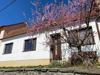 Prodej domu 130 m², Bohdalice-Pavlovice