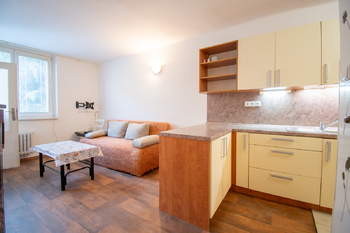 Prodej bytu 2+kk v osobním vlastnictví 32 m², Litoměřice