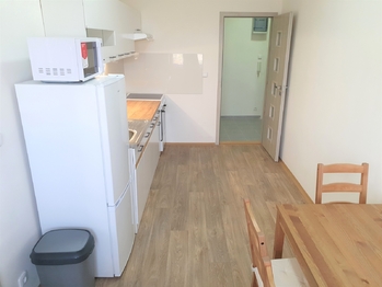 Pronájem bytu 1+1 v osobním vlastnictví 44 m², Praha 4 - Nusle
