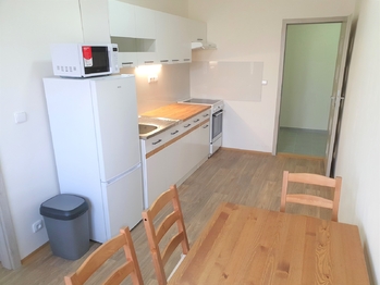 Pronájem bytu 1+1 v osobním vlastnictví 44 m², Praha 4 - Nusle