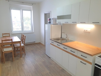 Pronájem bytu 1+1 v osobním vlastnictví 44 m², Praha 4 - Nusle