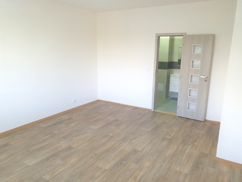 Pronájem bytu 1+1 v osobním vlastnictví 44 m², Praha 4 - Nusle