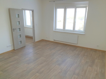 Pronájem bytu 1+1 v osobním vlastnictví 44 m², Praha 4 - Nusle