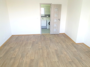 Pronájem bytu 1+1 v osobním vlastnictví 44 m², Praha 4 - Nusle