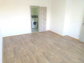 Pronájem bytu 1+1 v osobním vlastnictví 44 m², Praha 4 - Nusle