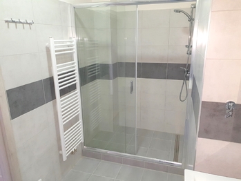 Pronájem bytu 1+1 v osobním vlastnictví 44 m², Praha 4 - Nusle