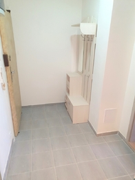 Pronájem bytu 1+1 v osobním vlastnictví 44 m², Praha 4 - Nusle