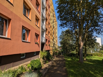 Pronájem bytu 1+1 v osobním vlastnictví 36 m², Ústí nad Labem