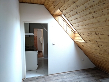 Pronájem bytu 1+1 v osobním vlastnictví 65 m², Ústí nad Labem