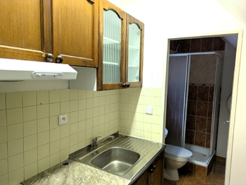 Pronájem bytu 1+1 v osobním vlastnictví 65 m², Ústí nad Labem