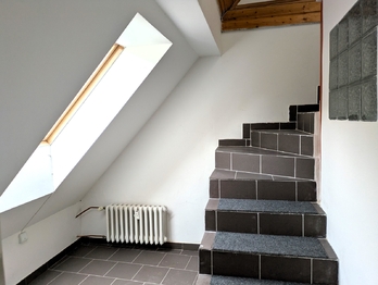 Pronájem bytu 1+1 v osobním vlastnictví 65 m², Ústí nad Labem