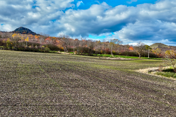Prodej pozemku 1050 m², Chožov