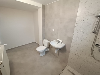 Pronájem bytu 1+kk v osobním vlastnictví 36 m², Bříství