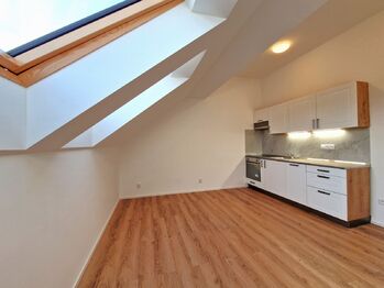 Pronájem bytu 1+1 v osobním vlastnictví 28 m², Praha 6 - Břevnov