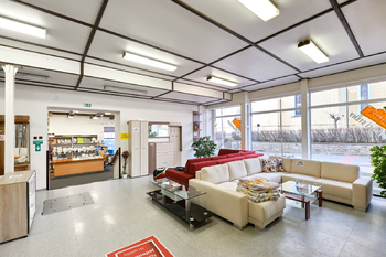 obchodní plochy - Prodej obchodních prostor 2665 m², Lišov