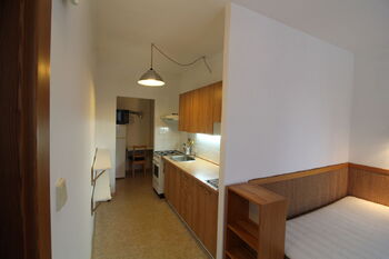 obytná kuchyně - Pronájem bytu 1+1 v osobním vlastnictví 47 m², České Budějovice