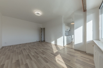 Pronájem bytu 1+1 v osobním vlastnictví 35 m², Praha 4 - Nusle
