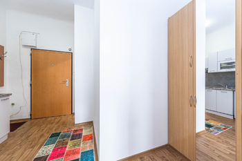 Pronájem bytu 1+1 v osobním vlastnictví 34 m², Praha 7 - Holešovice